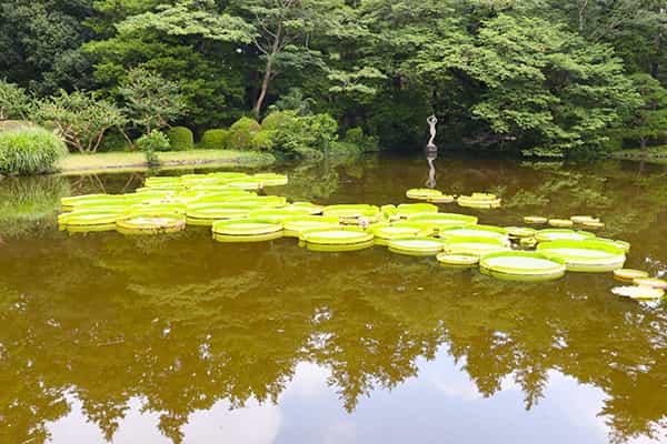 大池