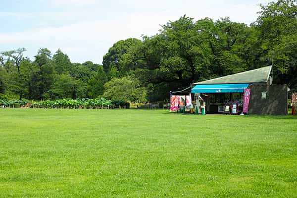 芝生広場(売店)