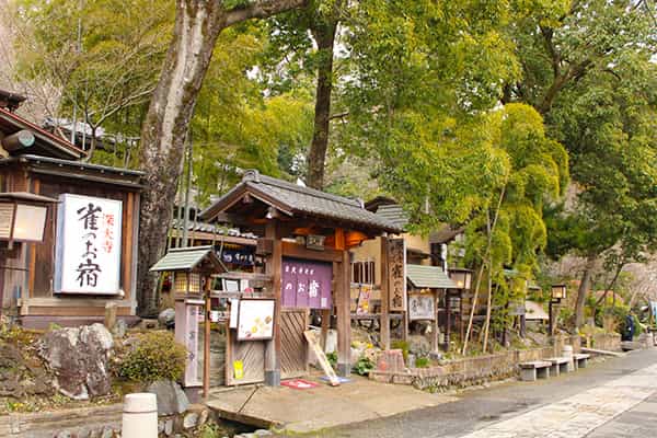 雀のお宿
