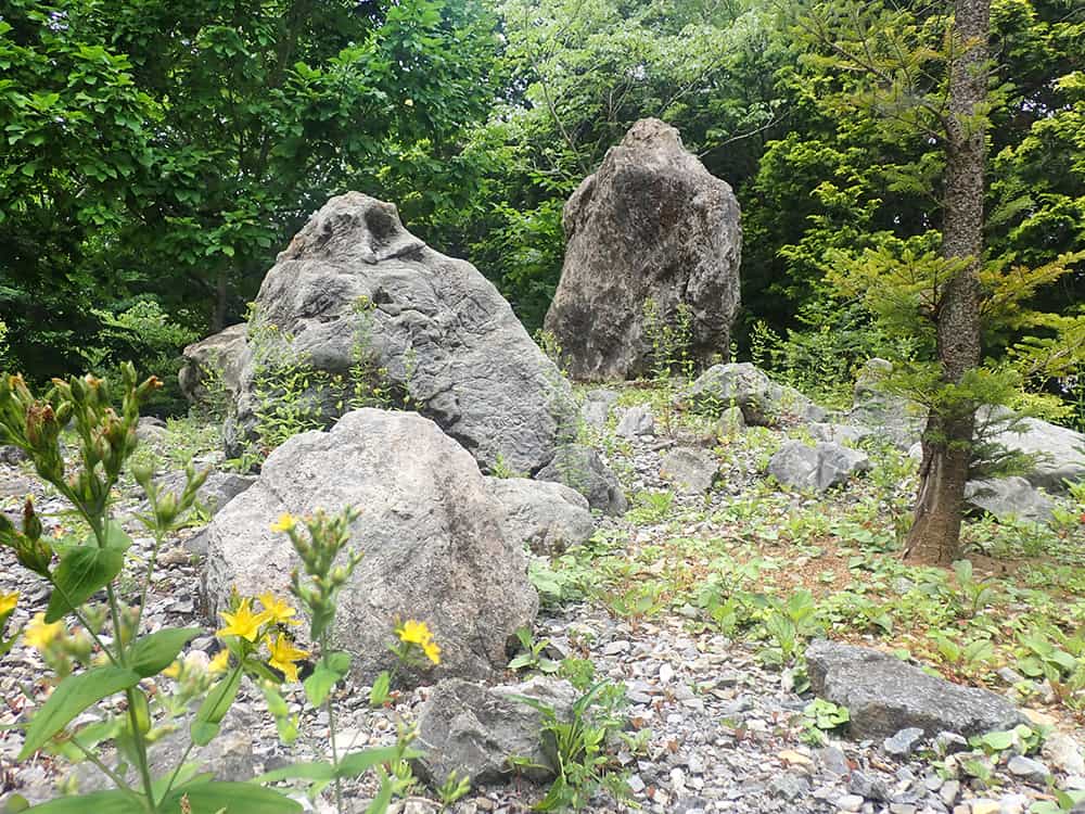 奥多摩ゾーン・石灰岩地