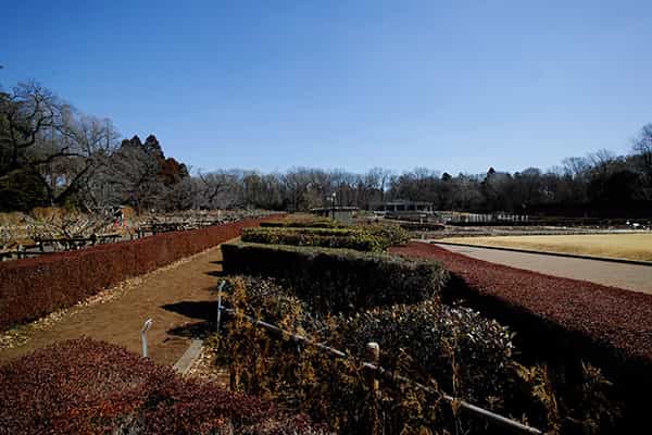 生垣見本園