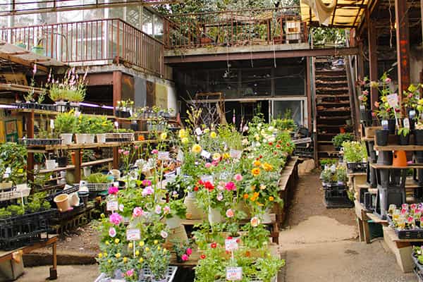 佐保田園芸