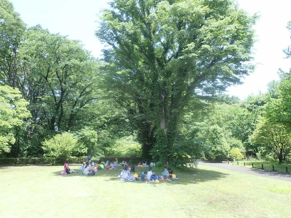 芝生広場