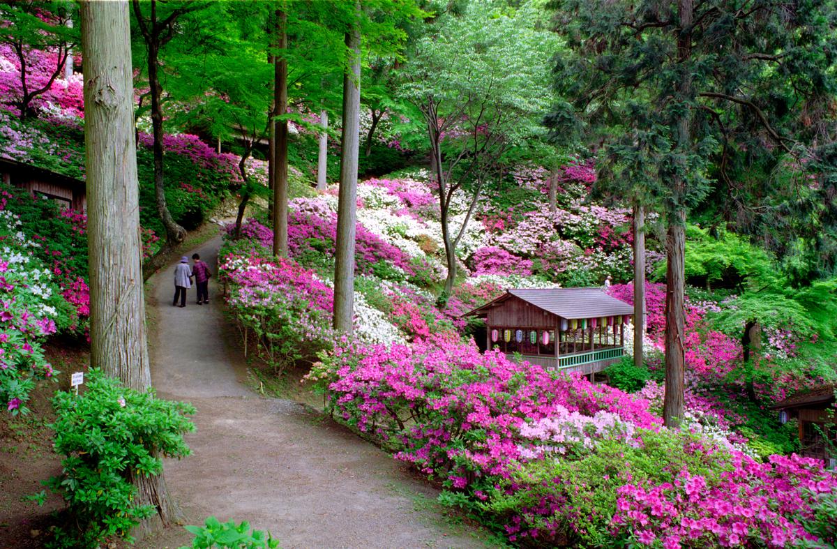 大興善寺
