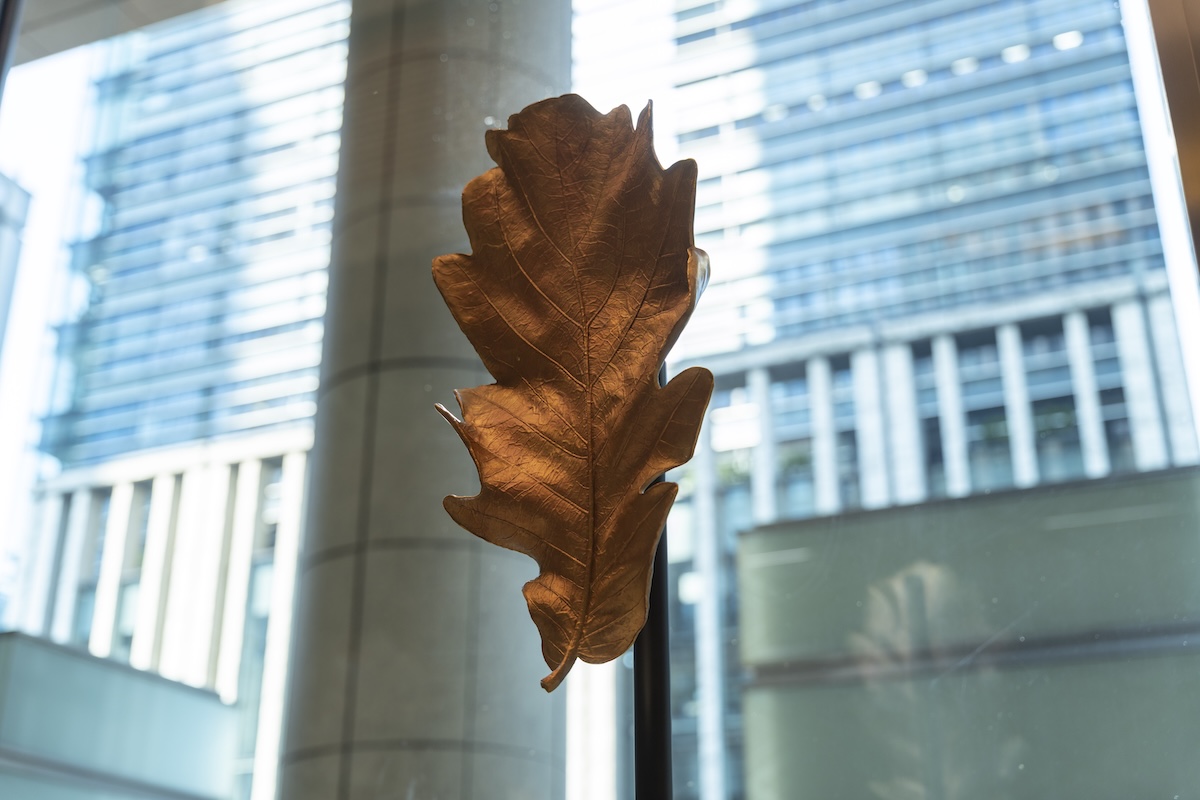 展示終了「Oak Leaf –the Given」(大巻 伸嗣)