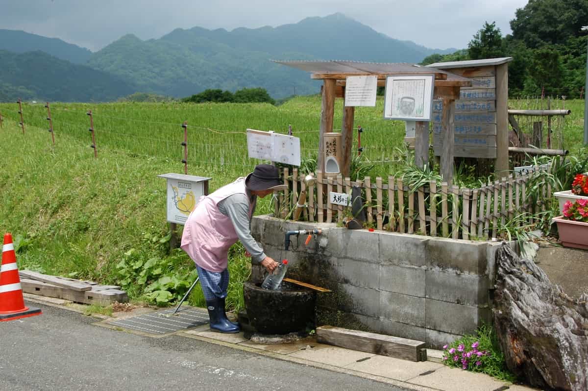 大杉の清水