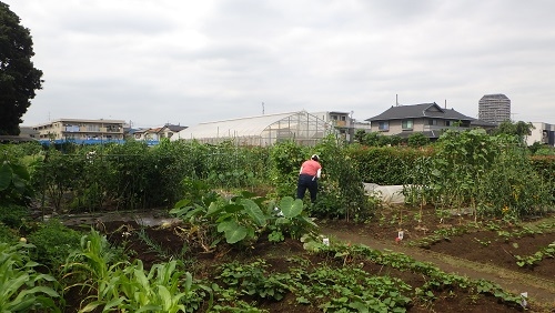 練馬区立高松一丁目第二区民農園