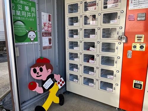加藤トマトファーム