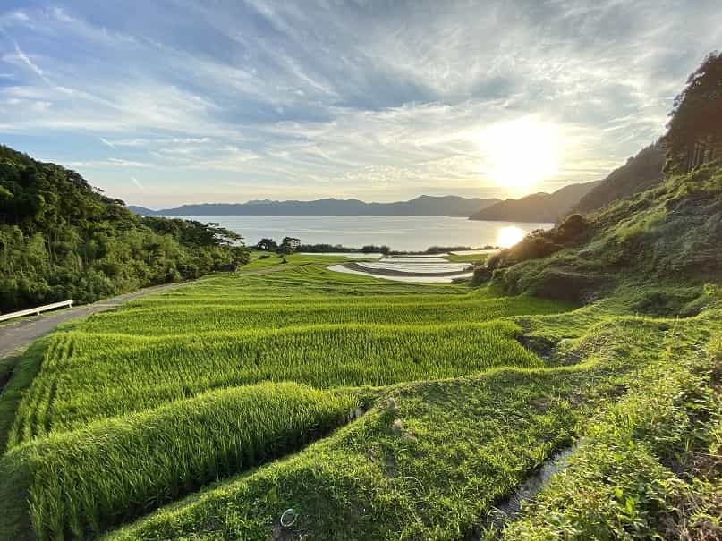 Shin-Nagayoshi Rice Terraces
