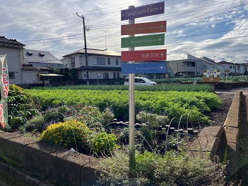 多言語案内看板