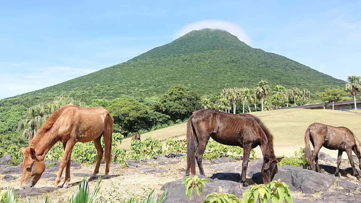 Kaimon Sanroku Nature Park