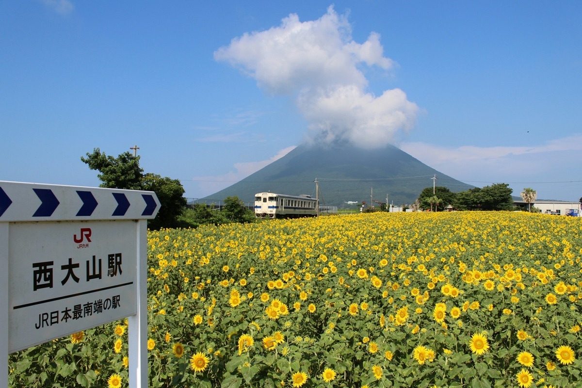 Yamagawa Route to enjoy the astonishing view of the southern tip of Satsuma Peninsula