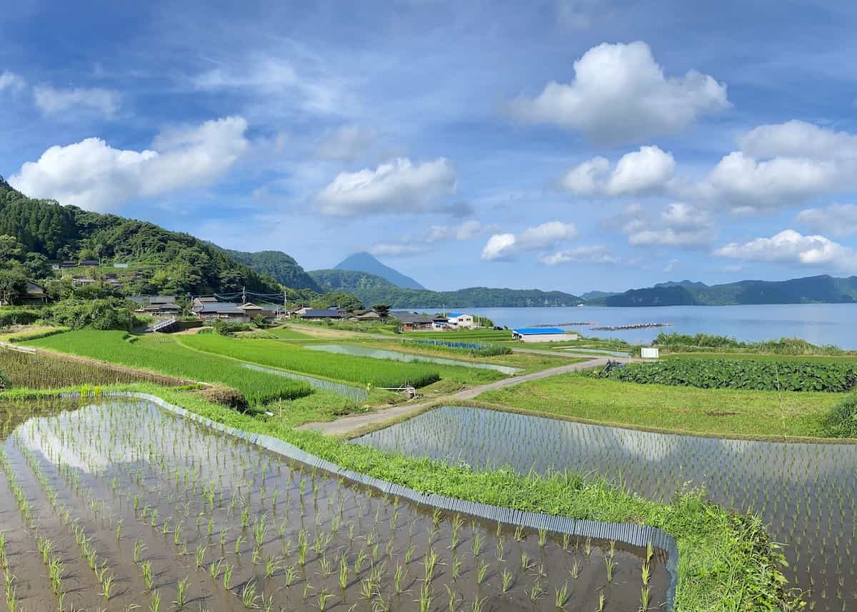 Osagari Rice Terraces