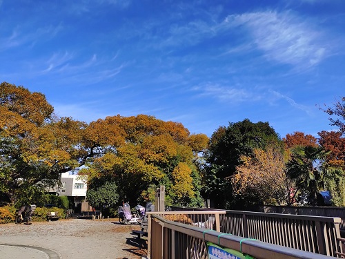 大泉井頭公園