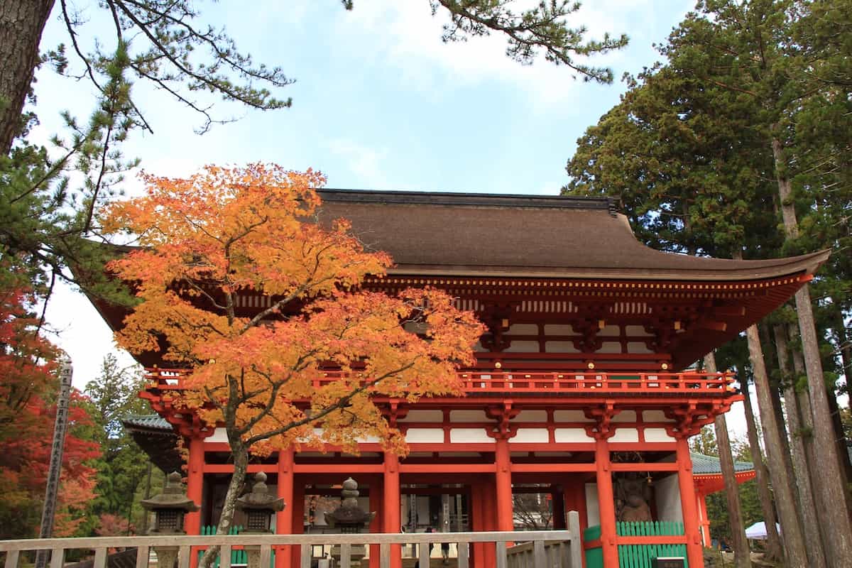 中門