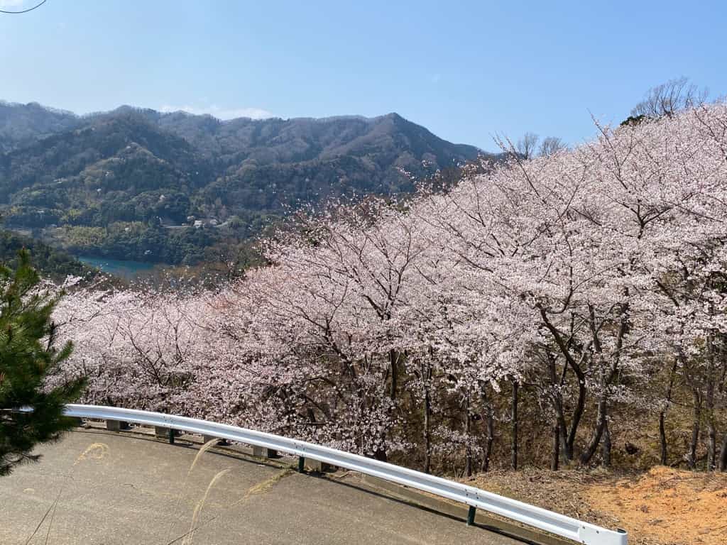 五色山公園