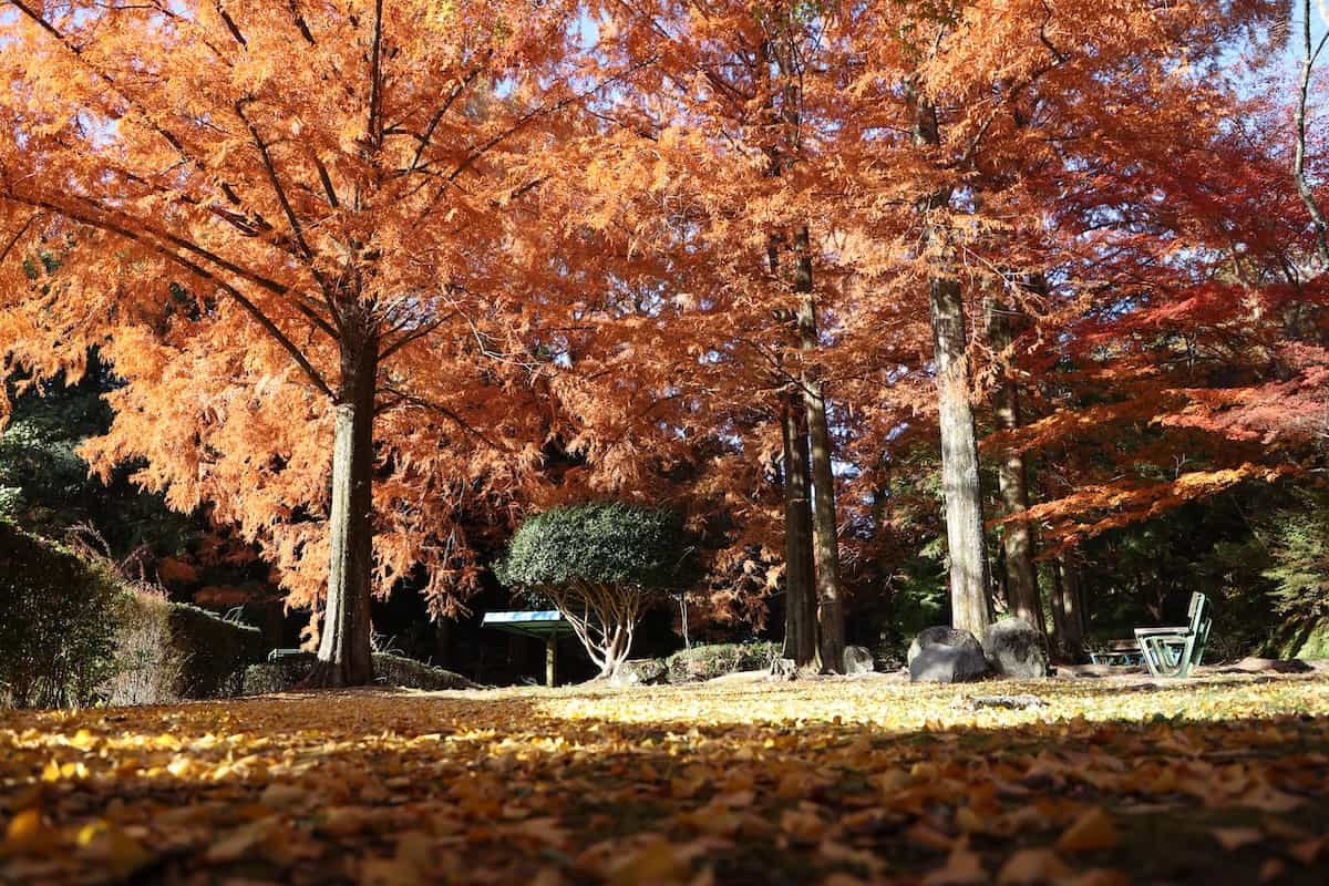 杉村公園