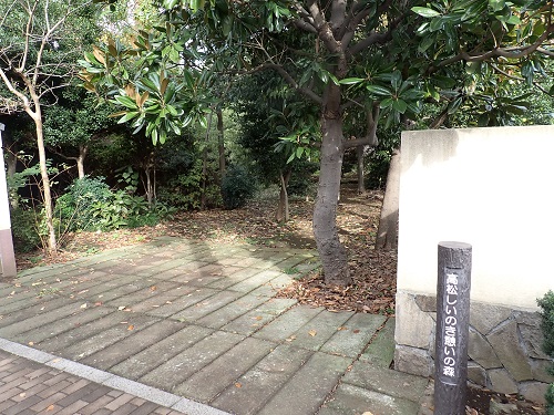 高松しいのき憩いの森