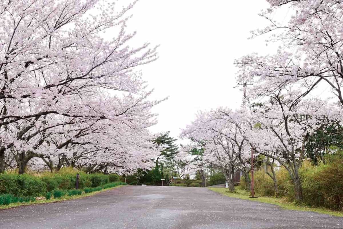 安土山公園