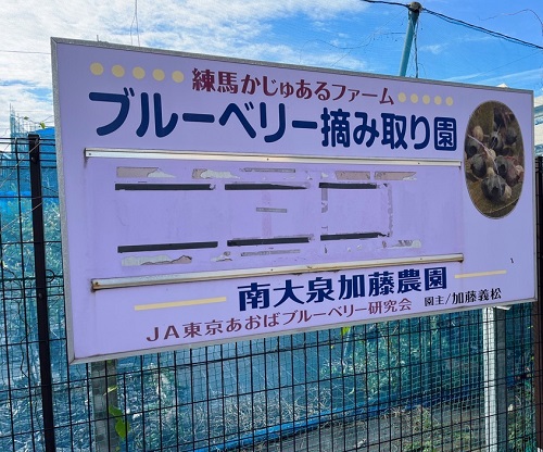 南大泉加藤農園