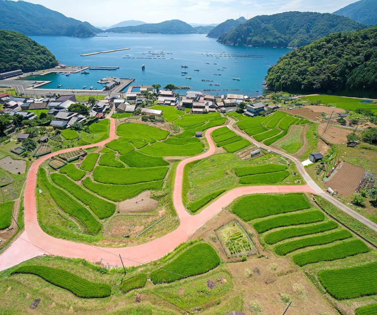 日引の棚田