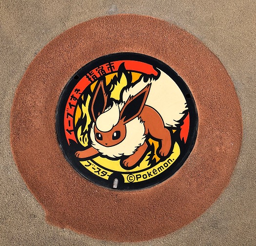 Flareon Utility Hole Covers