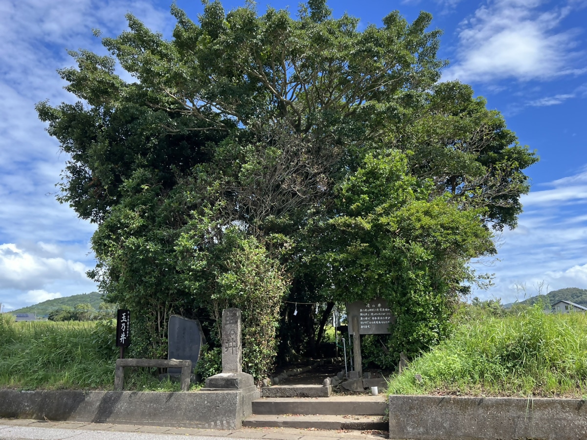 Tamanoi Well
