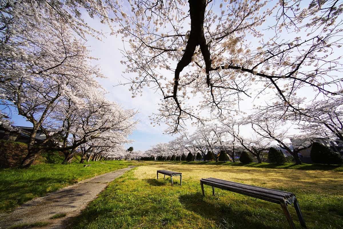 宮川緑地公園（東園）