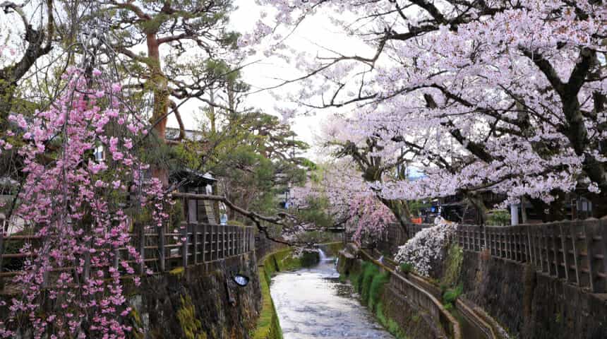 江名子川沿い