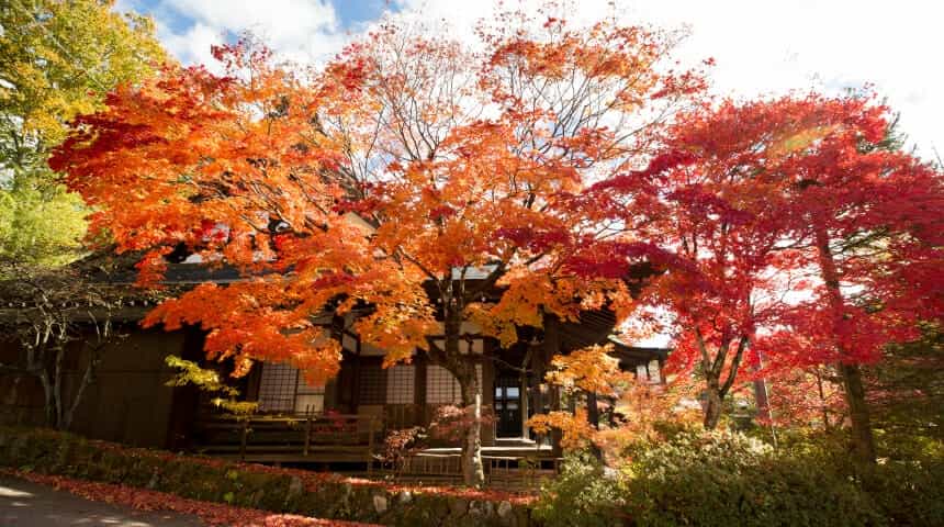 天照寺（てんしょうじ）