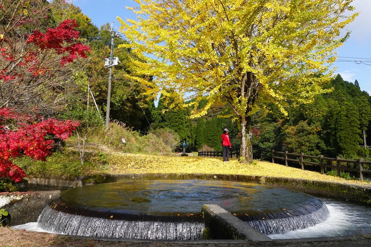 円形分水