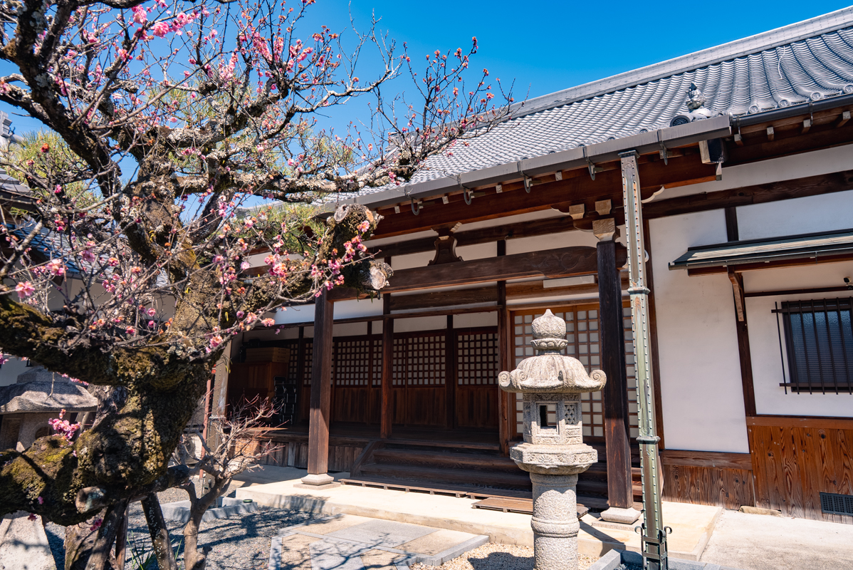 朝日山 地蔵院