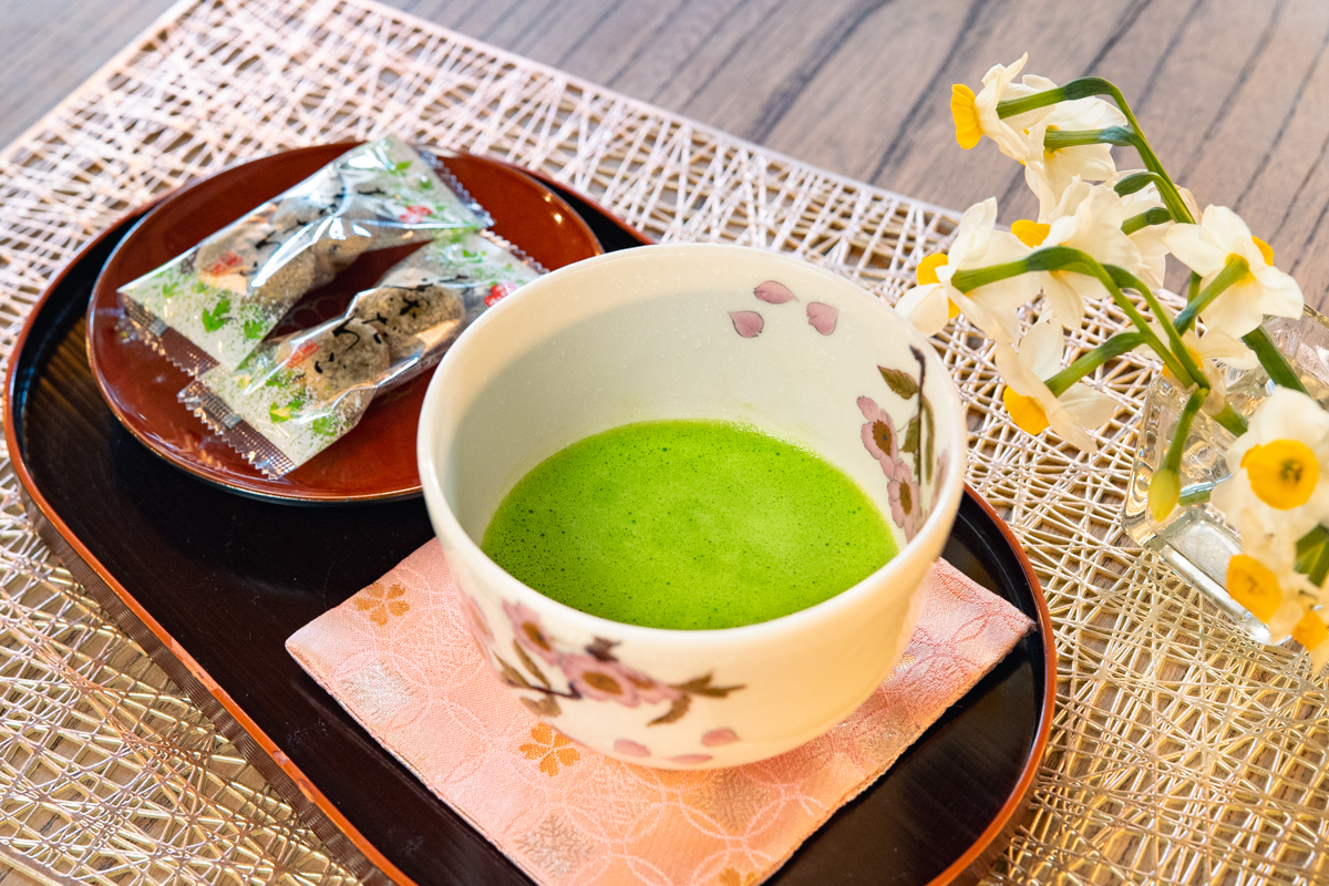 不老門　泉園銘茶本舗