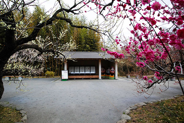 東屋(梅園)