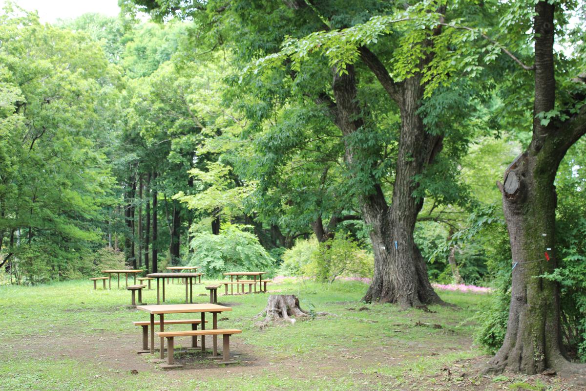 築山ベンチ