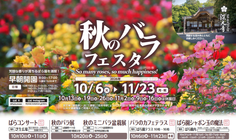 🌹10/6~11/23🌹秋のバラフェスタ